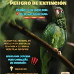 Día de las Especies en Peligro de Extinción