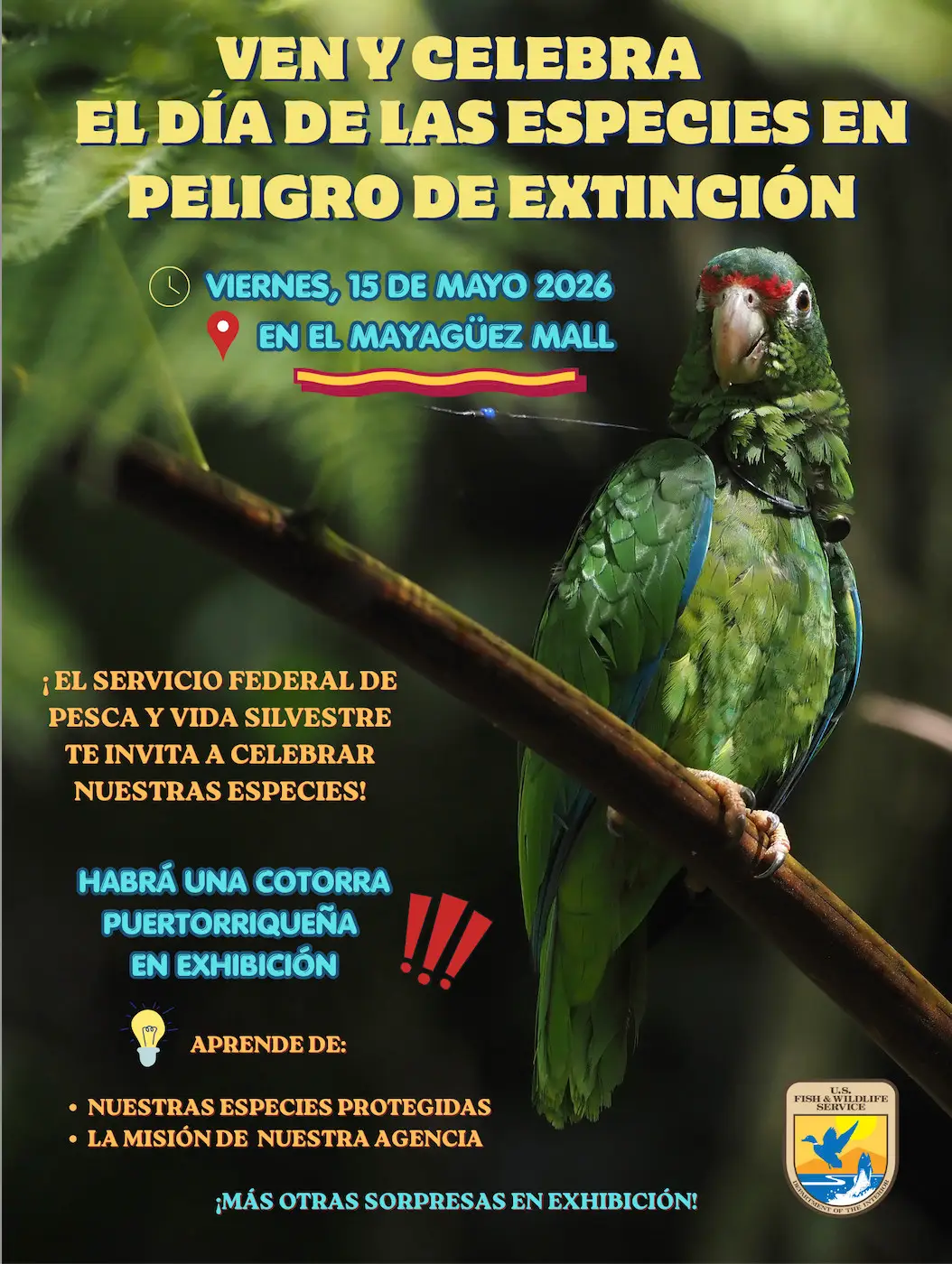 Día de las Especies en Peligro de Extinción