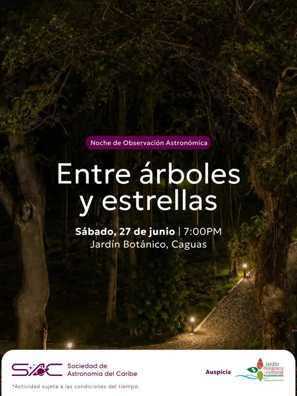Entre árboles y estrellas - Jardín Botánico de Caguas