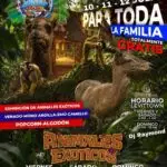 Animales Exóticos - La Perla Negra