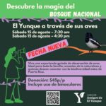El Yunque a través de sus aves - El Portal de El Yunque