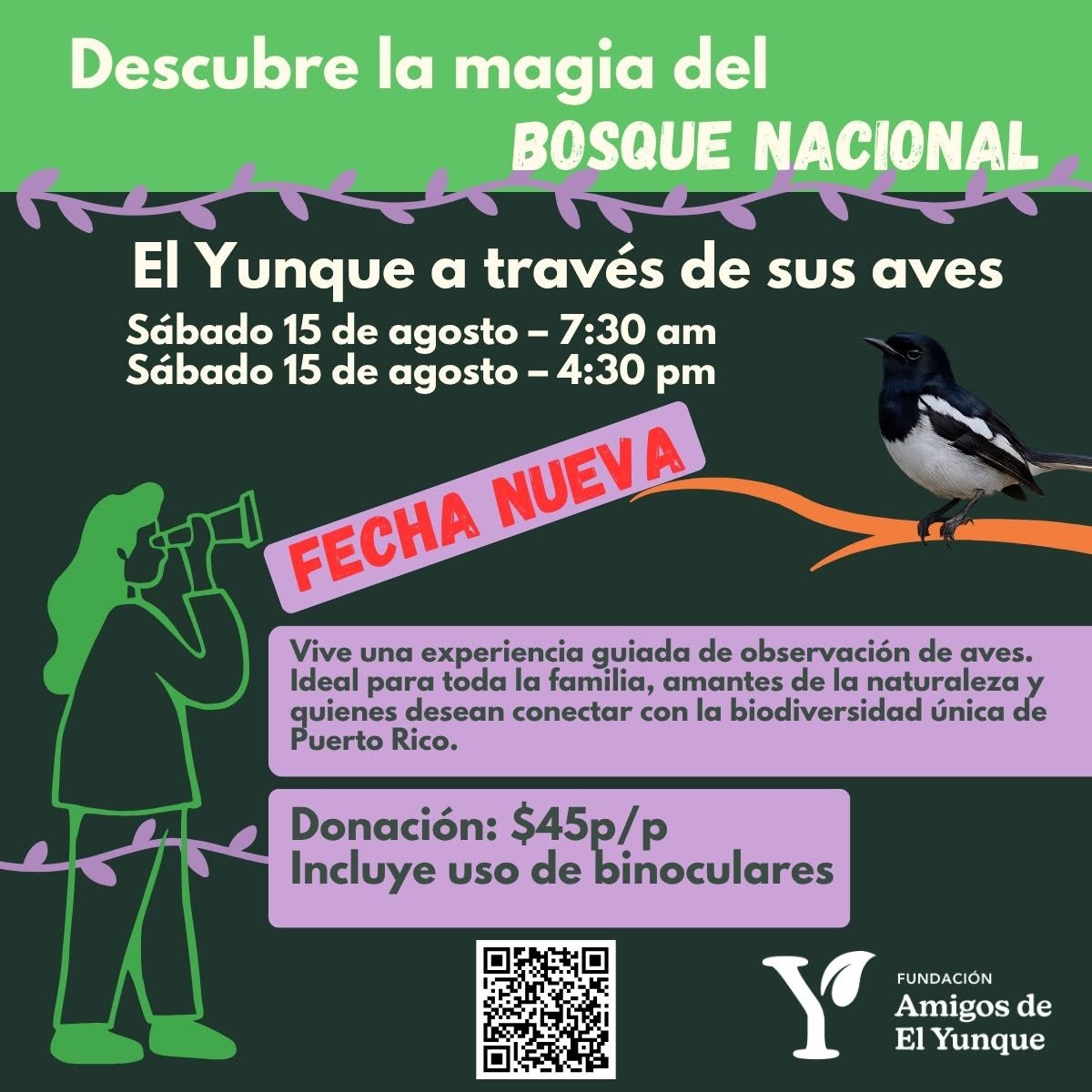 El Yunque a través de sus aves - El Portal de El Yunque
