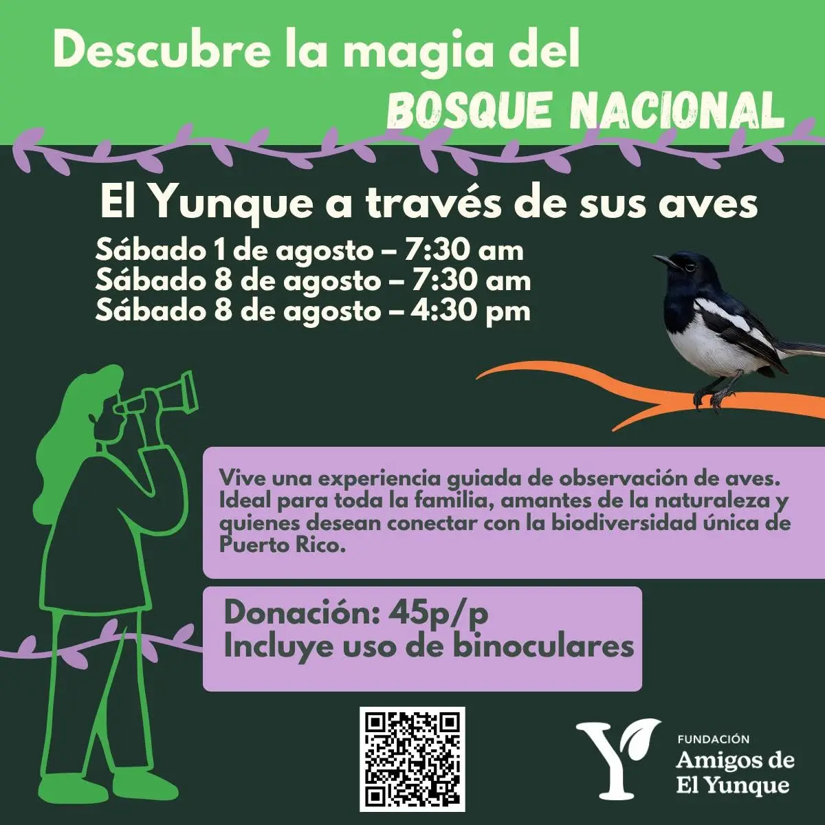 El Yunque a través de sus aves - El Portal de El Yunque