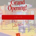 Grand Opening - Brincos