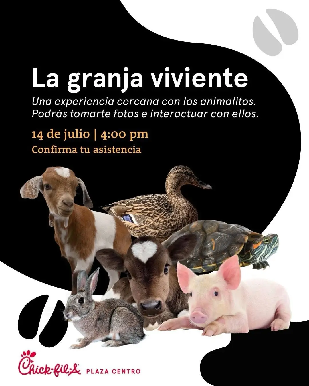 La granja viviente - Chick-fil-A (Plaza Centro - Caguas)