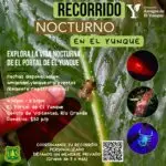 Recorrido Nocturno - El Portal de El Yunque