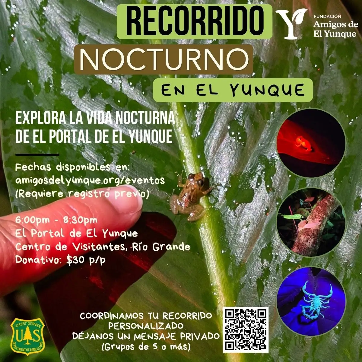 Recorrido Nocturno - El Portal de El Yunque