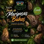 Tarde de Mariposas Búhos - Mariposario Sembry Planet