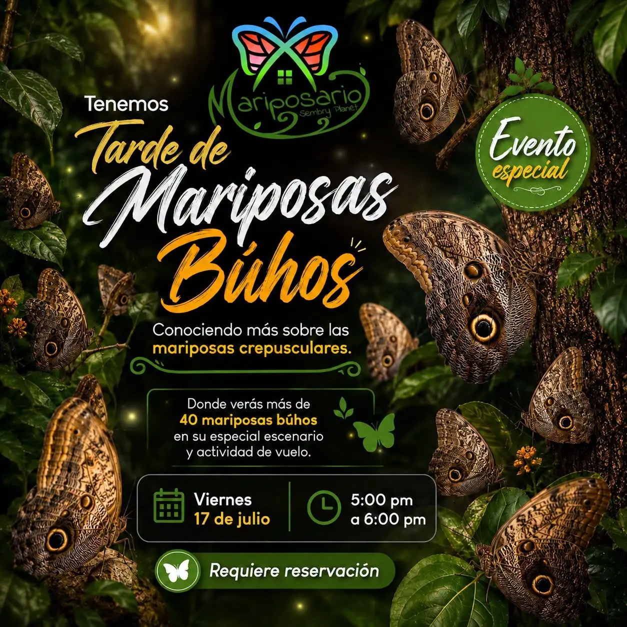 Tarde de Mariposas Búhos - Mariposario Sembry Planet