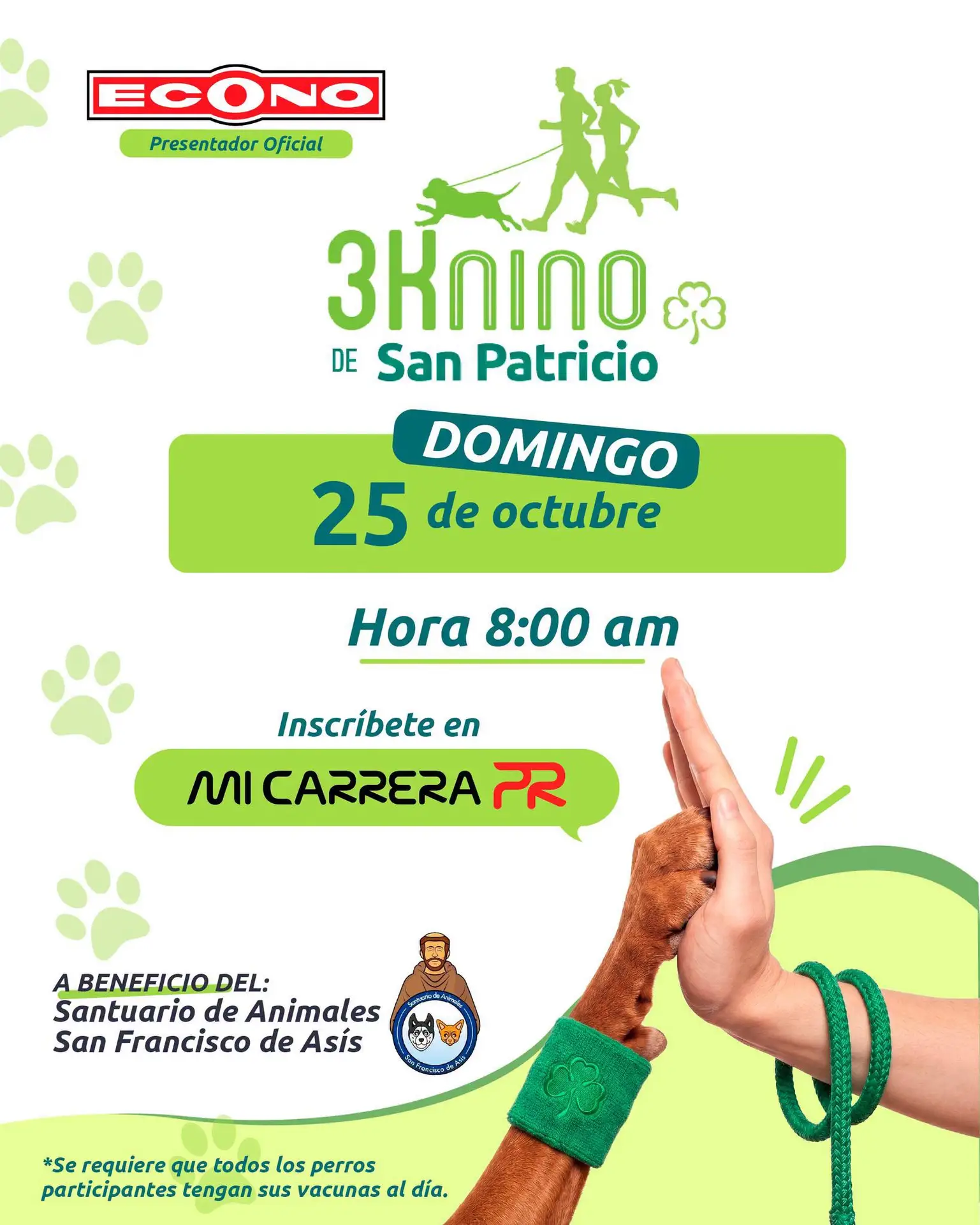 3Knino - San Patricio Plaza