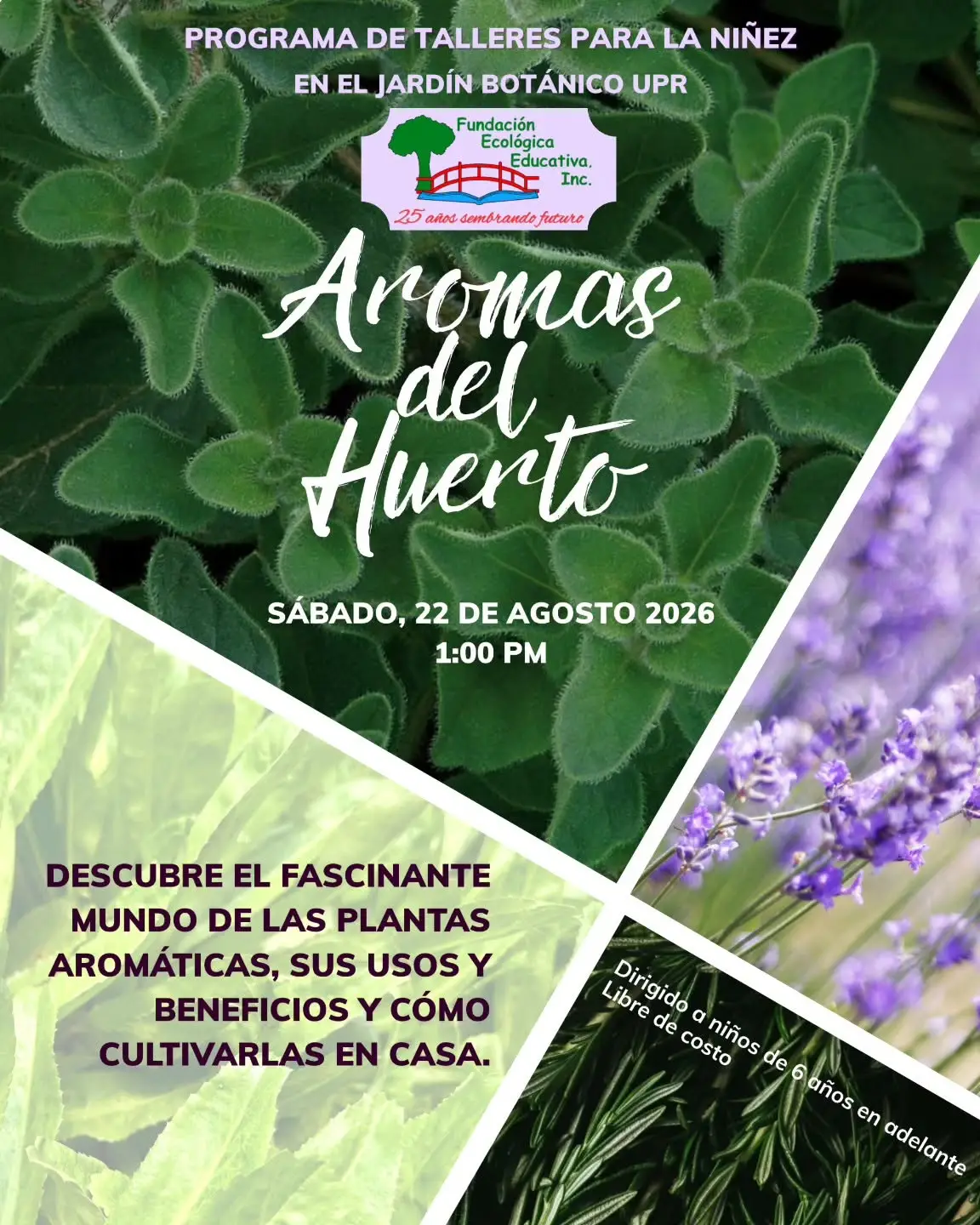 Aromas del Huerto - Fundación Ecológica Educativa: Jardín UPR