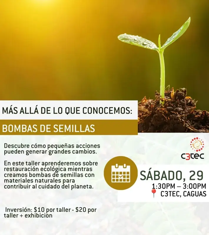 Bombas de Semillas - C3Tec