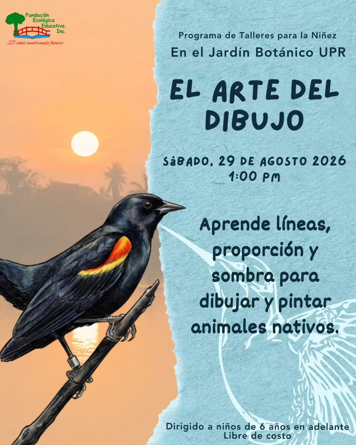 El Arte del Dibujo - Fundación Ecológica Educativa: Jardín UPR
