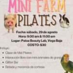 Mini Farm Pilates - Paloa Beauty Lab