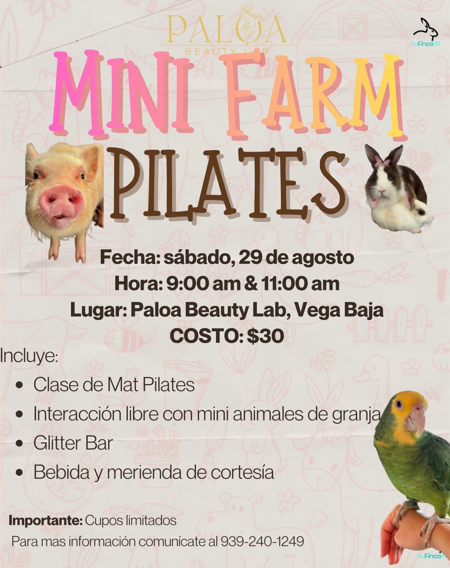 Mini Farm Pilates - Paloa Beauty Lab