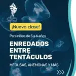 Enredados entre Tentáculos - Isla Mar