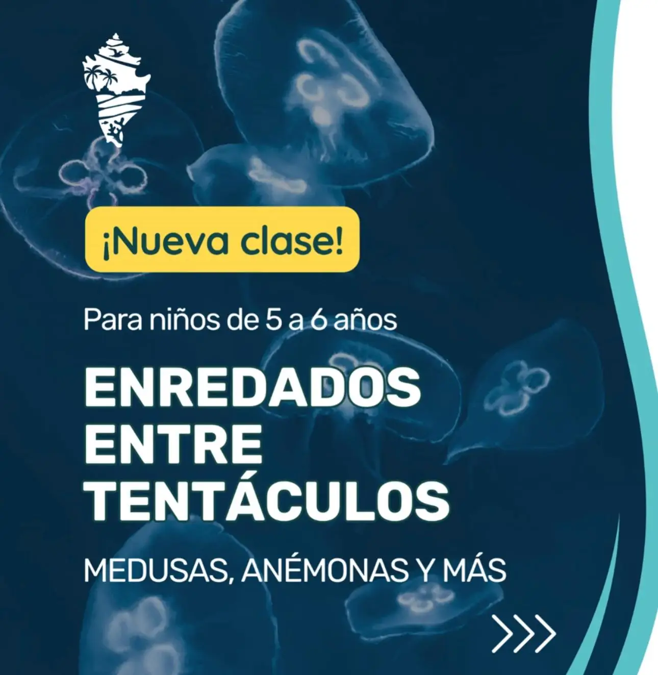 Enredados entre Tentáculos - Isla Mar