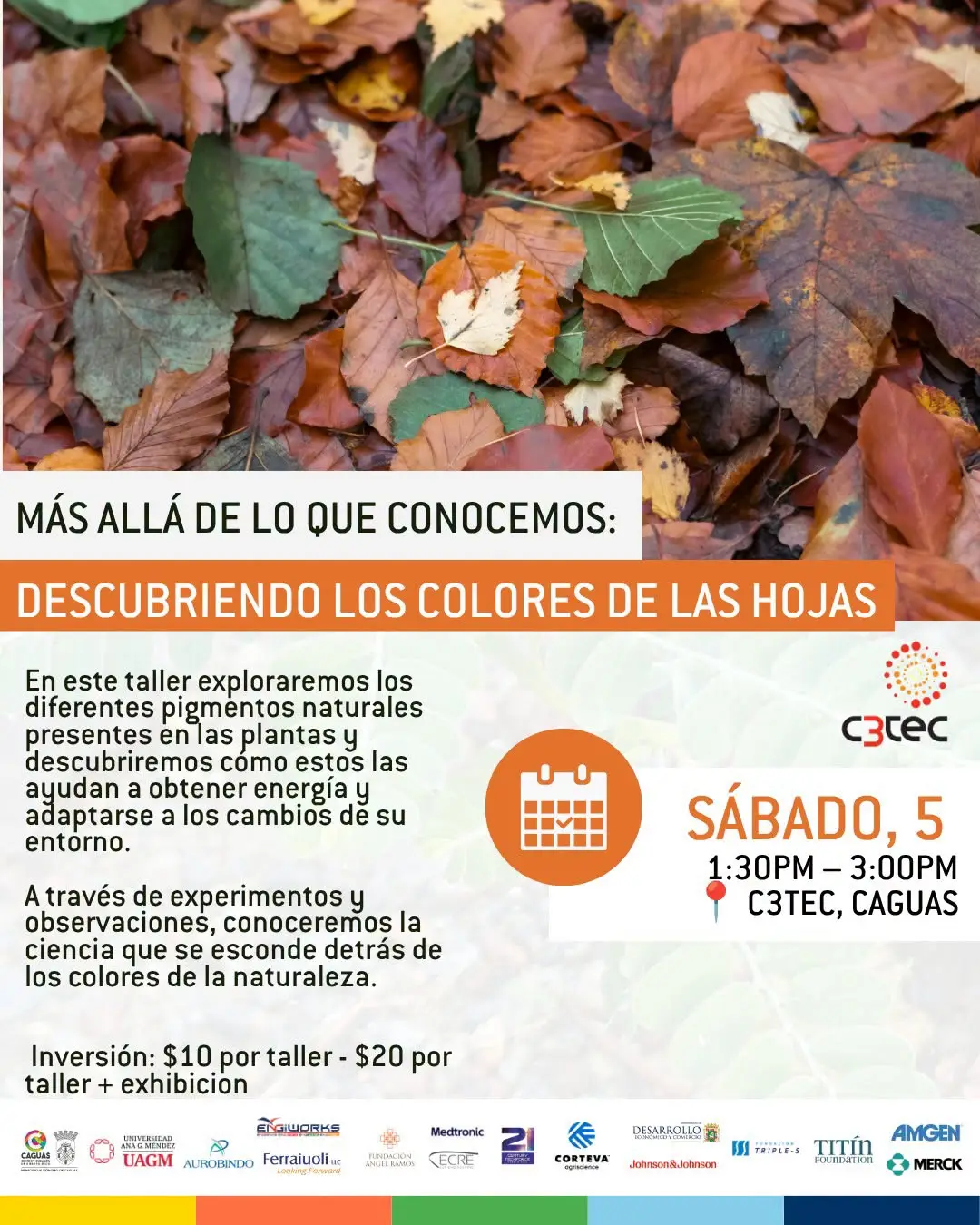 Descubriendo los colores de las Hojas - C3Tec