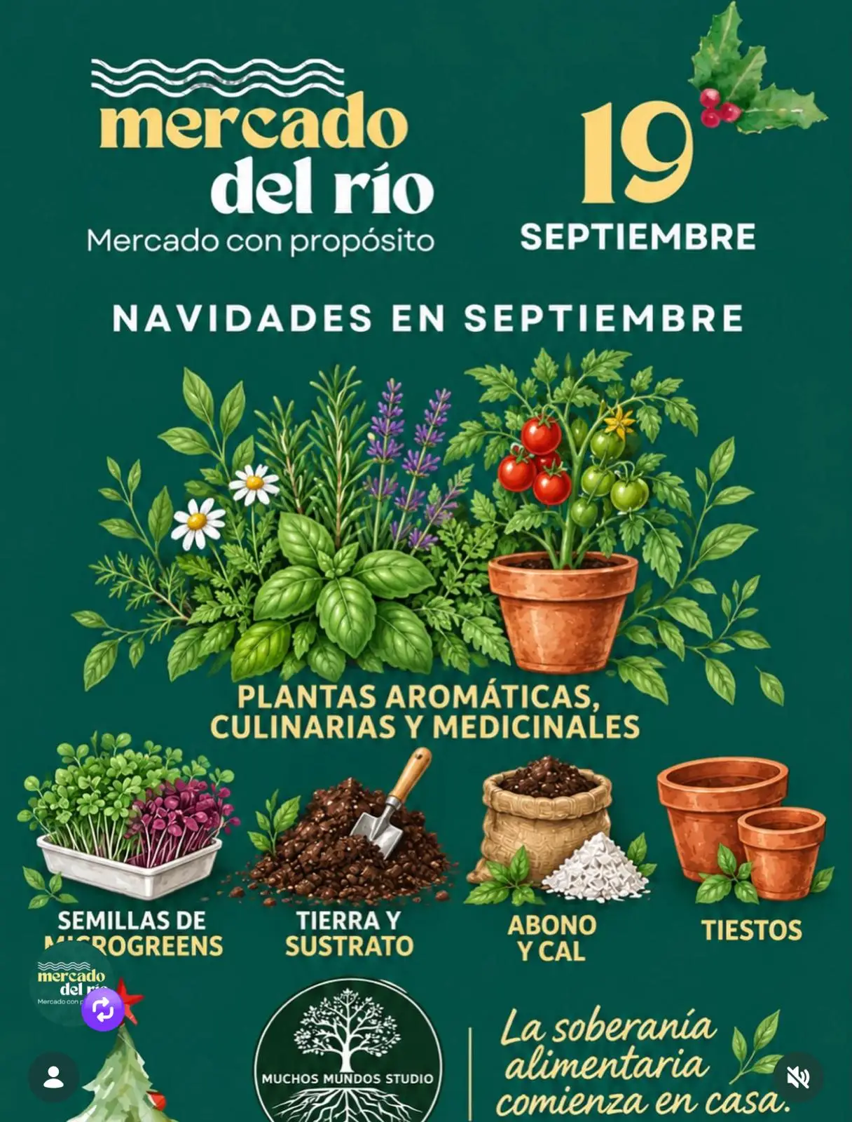 Mercado del Río - Bayamón