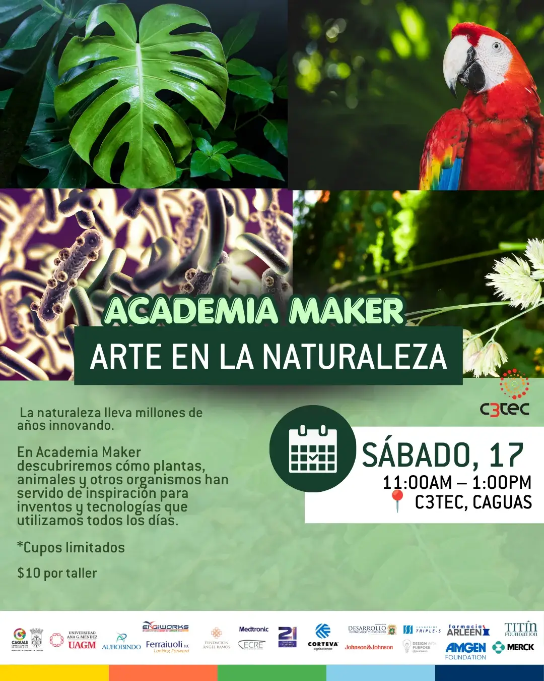 Arte en la Naturaleza - C3Tec
