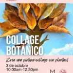 Sábado de Taller: Collage Botánico - Museo de Historia, Antropología y Arte