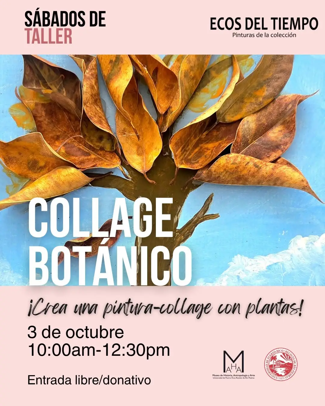 Sábado de Taller: Collage Botánico - Museo de Historia, Antropología y Arte
