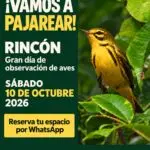 Observación de Aves en Rincón - Surfrider