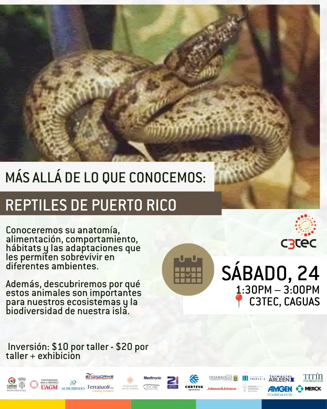 Reptiles de Puerto Rico - C3Tec