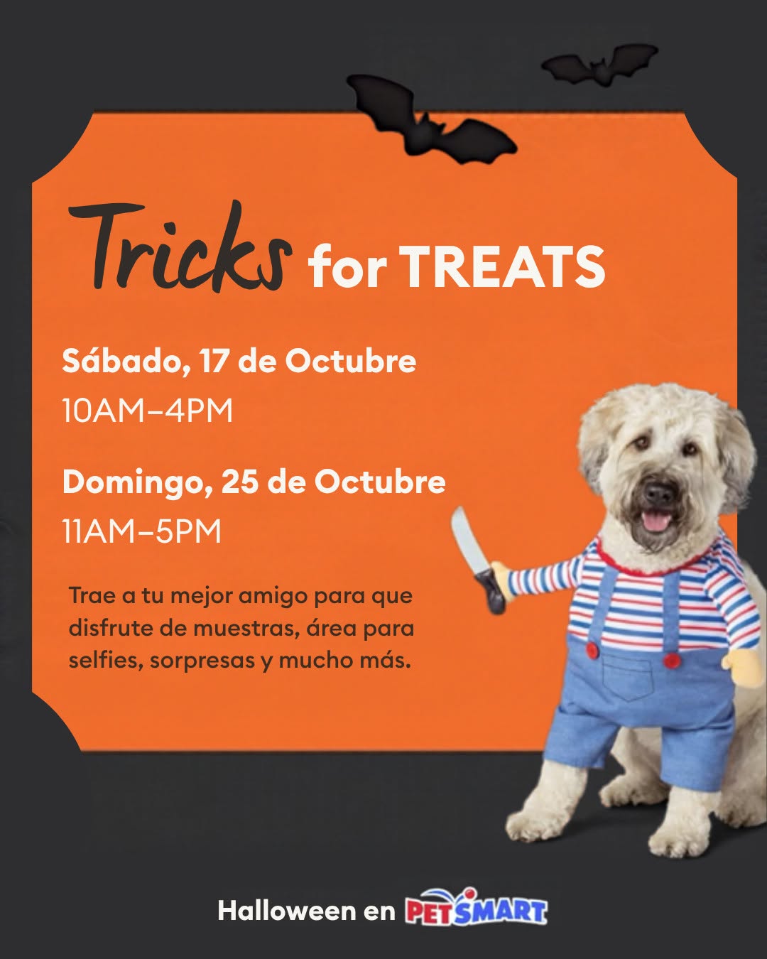 Tricks or Treats - PetSmart